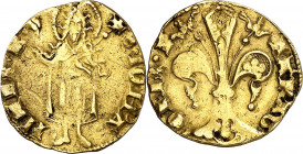 Pere III (1336-1387). Barcelona. Florí. (Cru.V.S. 384) (Cru.C.G. 2206). Marca: rosa de anillos. Rayitas. 3,39 g. MBC-.