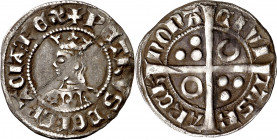 Pere III (1336-1387). Barcelona. Croat. (Cru.V.S. 402.1) (Cru.C.G. 2220d). Flores de 6 pétalos en el vestido. Letras A y U latinas. Doblez. 3,03 g. MB...