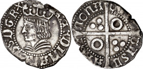 Ferran II (1479-1516). Barcelona. Croat. (Cru.V.S. 1137) (Cru.C.G. 3066a). Cospel oblongo. 3,23 g. (MBC).