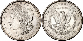 Estados Unidos. 1882. Filadelfia. 1 dólar. (Kr. 110). Golpecito. AG. 26,70 g. EBC-.