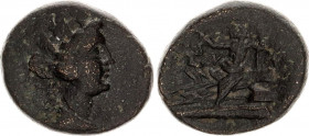 Ancient Greece Tetrahalk 100 - 50 BC.
Copper 7.3 g., 23 mm.; Macedonia.