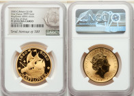 Elizabeth II gold Proof "Mayflower 400th Anniversary" 100 Pounds (1 oz) 2020 PR69 Ultra Cameo NGC, KM-Unl. Mintage: 500. First day of issue. AGW 1.000...
