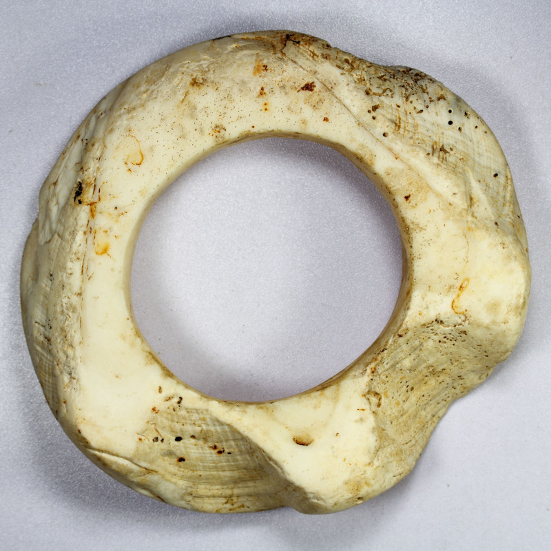 SOLOMON ISLANDS: New Georgia Islands, mbarake shell ring (540g), Opitz p.220, ca...