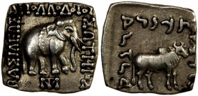 INDO-GREEK: Apollodotus I, ca. 180-160 BC, AR square drachm (2.37g), Bop-4G, elephant // humped bull, no monogram below the bull, choice VF.
Estimate...