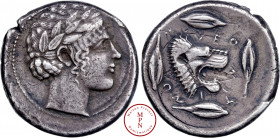 Sicile, Leontini, Tétradrachme, 450-430 avant J.-C., Av. Tête laurée d'Apollon à droite, Rv. LEONTINON, Tête de lion rugissant à droite, entourée de q...