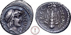 Sicinia, Q. Sicinius, Denier, 49 avant J.-C., Rome, Av. Q. SICINIVS III. VIR, Tête diadémée d’Apollon à droite, Rv. C COPONIVS PR S C, La massue d'Her...