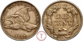 République Fédérale (1776-), Cent, Flying eagle, 1857, Philadelphie, Av. UNITED STATES OF AMERICA 1857, Aigle volant à gauche, Rv. ONE CENT dans une c...