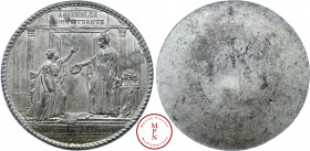 Deuxième République (1848-1852), Assemblée Constituante, Médaille, Uniface, Vivier, Guérand, 1848, Paris, Av. ASSEMBLEE CONSTITUANTE / LA LIBERTE NEE ...