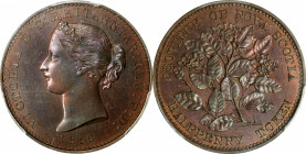 CANADA. Nova Scotia. 1/2 Penny, 1856. Victoria. PCGS PROOF-63 Brown.

KM-5a; NS-5A1; Br-876. With LCW. A beautiful proof example of the popular toke...