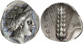 ITALY. Lucania. Metapontion. AR Stater (Nomos) (7.88 gms), c.400-330 BC. NGC Ch VF, Strike: 5/5 Surface: 5/5. Fine Style.

HGC-1, 1054 (this coin il...