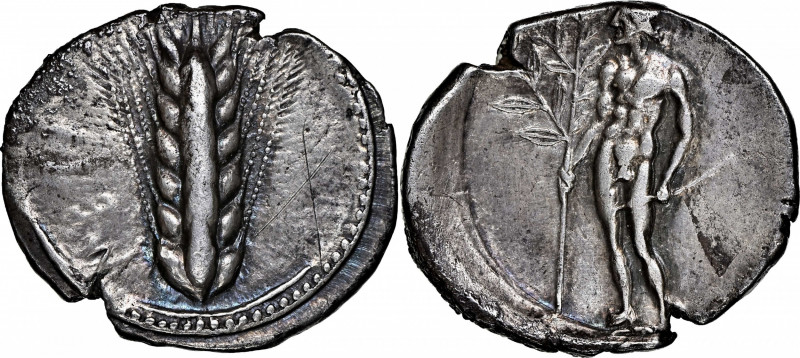 ITALY. Lucania. Metapontion. AR Stater (Nomos) (7.87 gms), ca. 440-430 B.C. NGC ...