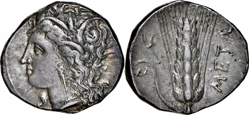 ITALY. Lucania. Metapontion. AR Stater (Nomos) (7.85 gms), ca. 330-290 B.C. NGC ...