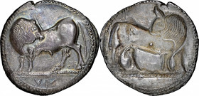 ITALY. Lucania. Sybaris. AR Stater (Nomos) (7.67 gms), ca. 550-510 B.C. NGC AU, Strike: 5/5 Surface: 3/5.

HGC-1, 1231; HN Italy-1729; SNG ANS-828-4...