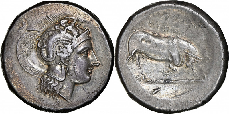 ITALY. Lucania. Thourioi. AR Distater (Double Nomos) (15.57 gms), ca. 350-300 B....