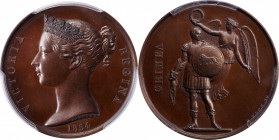 1854 Crimea medal. Bronzed copper, 36 mm. MY-119. SP-65 (PCGS).

A distinctive way to collect one of the most famous of all British campaign medals....