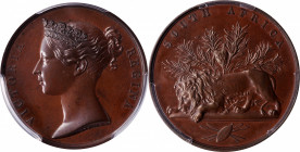 (1879) South Africa medal. Bronzed copper, 36 mm. MY-127. SP-64 (PCGS).

Medium brown with golden toning in the reflective fields. A handsome exampl...