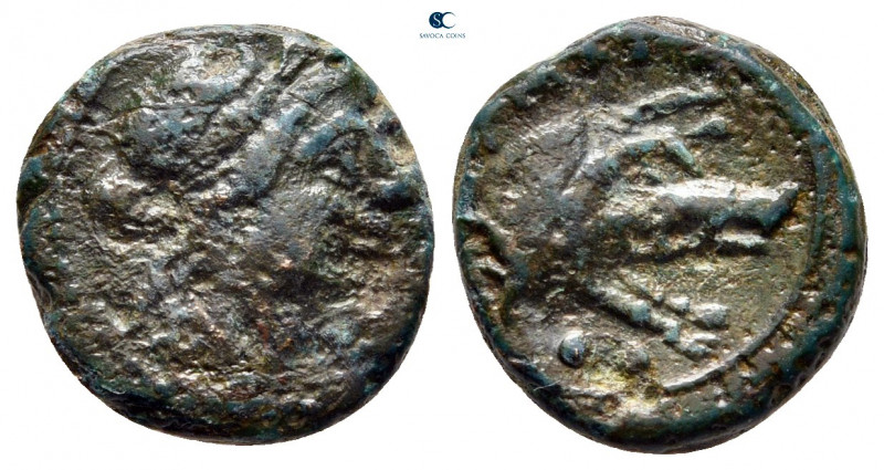 Lucania. Paestum circa 218-201 BC. 
Sextans Æ

13 mm, 2,13 g



very fine...