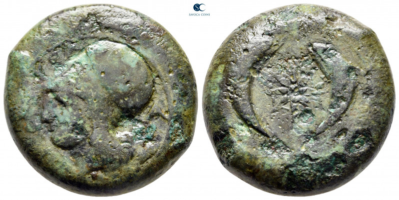 Sicily. Syracuse circa 350-300 BC. 
Drachm Æ

28 mm, 28,88 g



nearly ve...