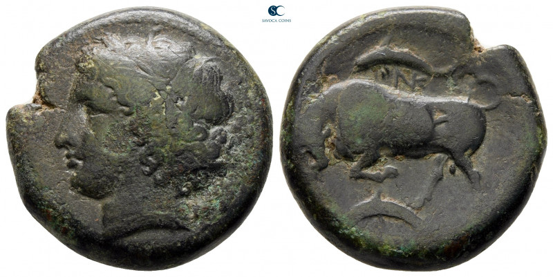 Sicily. Syracuse. Agathokles 317-289 BC. 
Bronze Æ

22 mm, 11,07 g



nea...