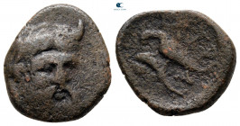 Moesia. Istrus circa 300-200 BC. Bronze Æ