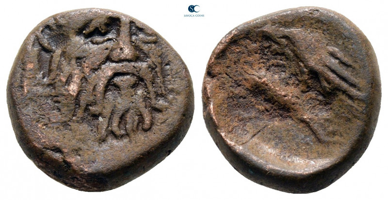 Moesia. Istrus circa 300-200 BC. 
Bronze Æ

13 mm, 3,70 g



nearly very ...