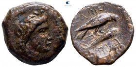 Scythia. Olbia circa 400-300 BC. Bronze Æ