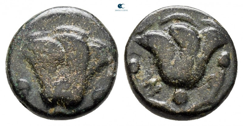 Islands off Caria. Rhodos circa 205-200 BC. 
Bronze Æ

10 mm, 1,03 g



v...