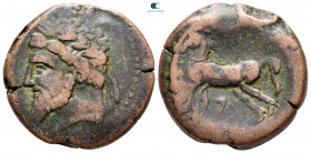 Kings of Numidia. Massinissa or Micipsa 203-118 BC. Bronze Æ