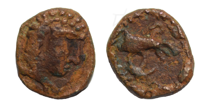 Greek coins. Ae (bronze, 0.60 g, 8.70 mm). Bust right. Rev. Bird with fish (?). ...