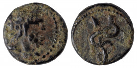 SYRIA, Seleucis and Pieria. Antioch . Pseudo-autonomous,2nd century. Ae Tessera (bronze, 3.56 g, 16 mm). Head of Asklepios right. Rev. Serpent-entwine...