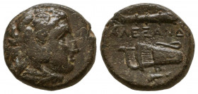 Kingdom of Macedon. Alexander III, "The Great". AE 18. 336-323 BC.
Reference:
Condition: Very Fine

Weight: 5.4 gr
Diameter: 17 mm