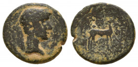 Provincial Coins, Ae. 
Reference:
Condition: Very Fine

Weight: 2.9 gr
Diameter: 15 mm