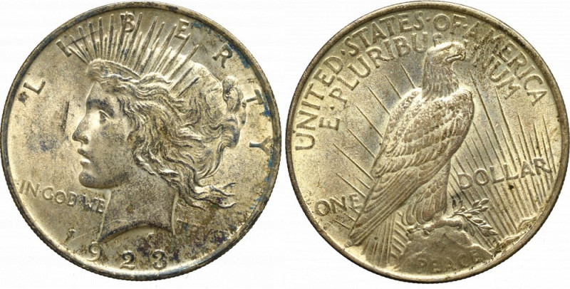 USA, Peace Dollar 1923 Bardzo ładny egzemplarz. Nieliczne skaleczenia w tle. Pat...