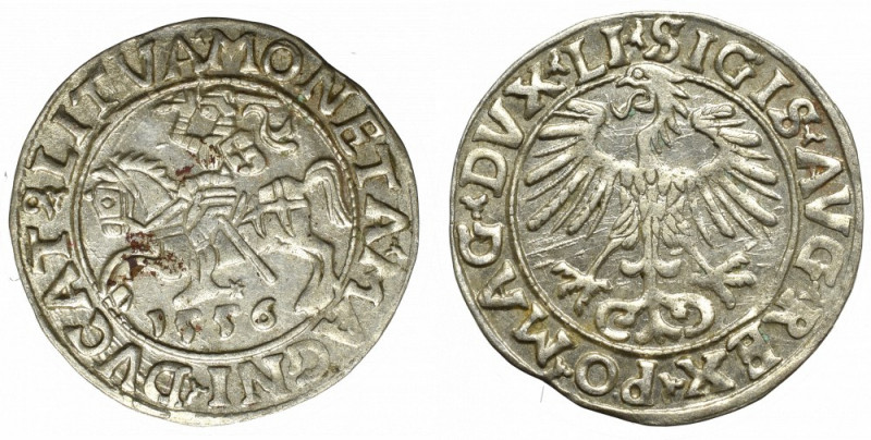 Sigismund II Augustus, Halfgroat 1556, Vilnius Bardzo ładny egzemplarz z dobrze ...