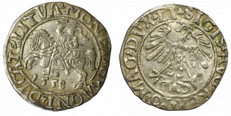 Sigismund II Augustus, Halfgroat 1558, Vilnius Ładnie zachowany egzemplarz. Paty...