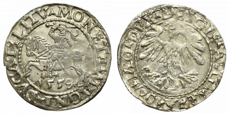 Sigismund II Augustus, Halfgroat 1559, Vilnius Piękny, okolomenniczy egzemplarz....