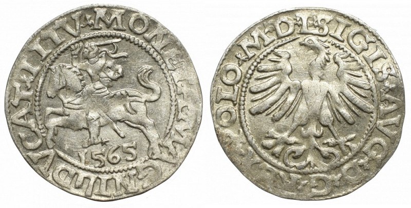 Sigismund II Augustus, Halfgroat 1565, Vilnius Bardzo ładny egzemplarz. Lekko ni...