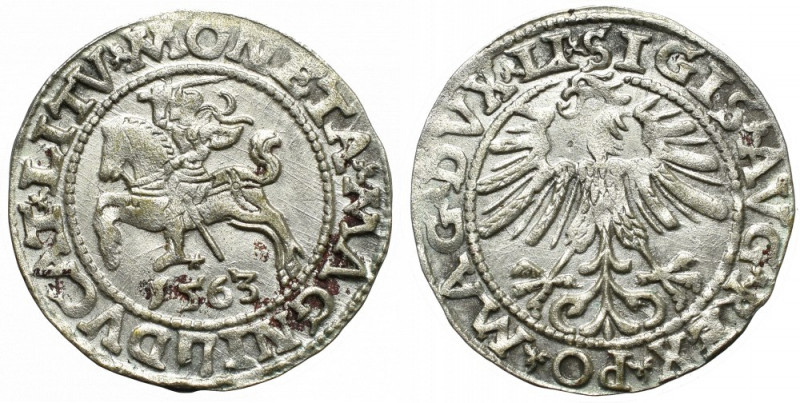 Sigismund II Augustus, Halfgroat 1563, Vilnius Ładny, miejscowo niedobity egzemp...