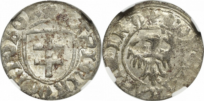 Casimir IV Jagellon, Schilling without date, Thorn - NGC MS63 Wyśmienity, mennic...