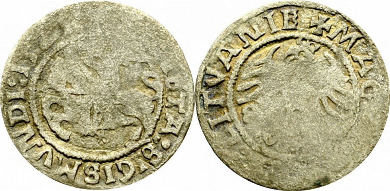 Sigismund I the Old, Halfgroat 1521, Vilnius Obiegowy egzemplarz. Patyna, nalot....