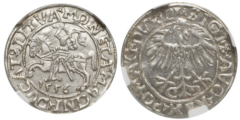 Sigismund II Augustus, Halfgroat 1556, Vilnius Doskonały, wyselekcjonowany egzem...