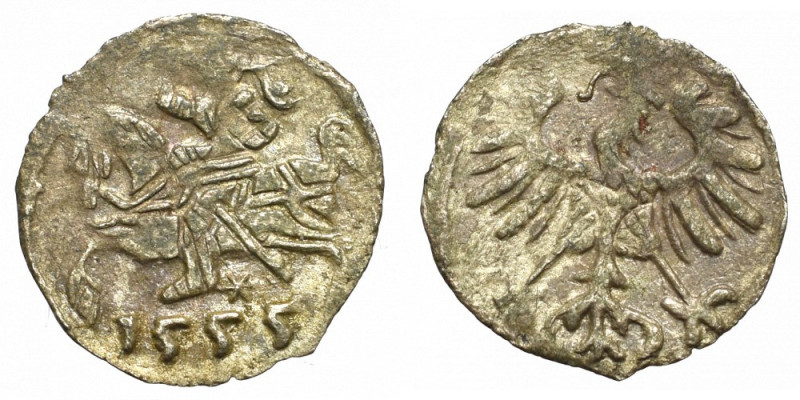 Sigismund II Augustus, Denarius 1555, Vilnius Bardzo ładny egzemplarz. Dużo zach...