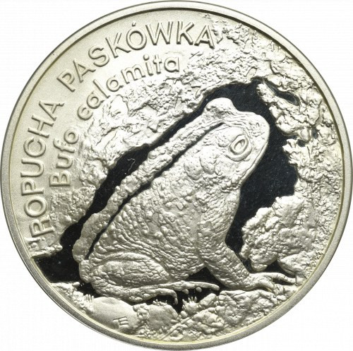 III RP, 20 złotych 1998 Ropucha Paskówka Delikatna patyna. 
Grade: Proof 

Po...