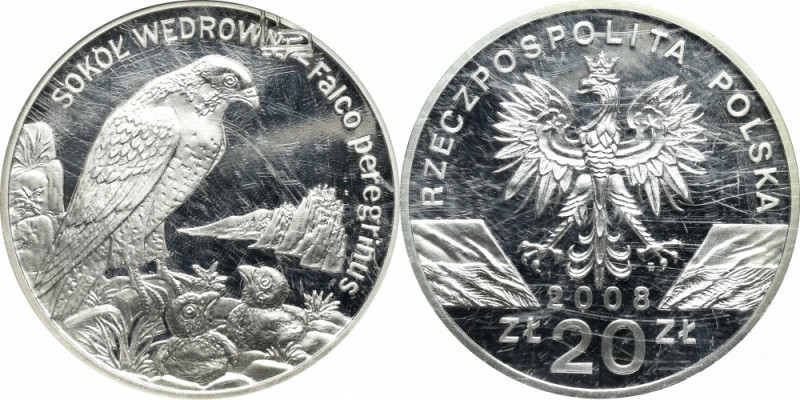 III RP, 20 złotych 2008 Sokół wędrowny Menniczy egzemplarz w slabie GCN. Rysy na...