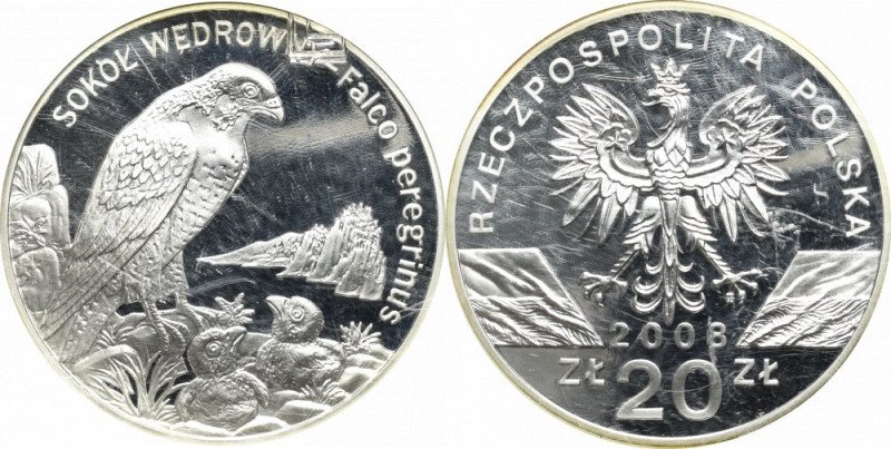 III RP, 20 złotych 2008 Sokół wędrowny Menniczy egzemplarz w slabie GCN. Rysy na...