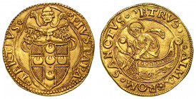 PIO III (Francesco Todeschini Piccolomini), 22 settembre - 18 ottobre 1503. Fiorino di camera (Zecchiere Pier Paolo della Zecca).

(rosetta) PIVS PA...