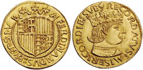 Napoli. Ferdinando I d’Aragona, 1458-1494. Emissioni dal 1458 al 1462. Ducato, AV 3,53 g. FERDINANDVS D G R S V Stemma coronato, inquartato di Napoli ...