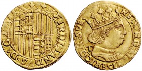 Napoli. Emissioni dal 1488 al 1494. Ducato 1488-1494, AV 3,46 g. FERDINANDVS D G R SI Stemma coronato, inquartato di Napoli (Ungheria-Angiò-Gerusalemm...