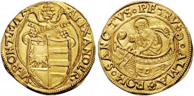 Alessandro VI (Rodrigo de Borja y Borja), 1492-1503. Fiorino di camera, AV 3,38 g. ALEXANDER – VI PONT MAX Stemma sormontato da triregno e chiavi decu...