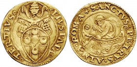 Pio III (Fancesco Todeschini-Piccolomini), 22 settembre – 17 ottobre 1503. Fiorino di camera, AV 3,40 g. PIVS PAPA – TERTIVS rosetta (segno di Pier Pa...